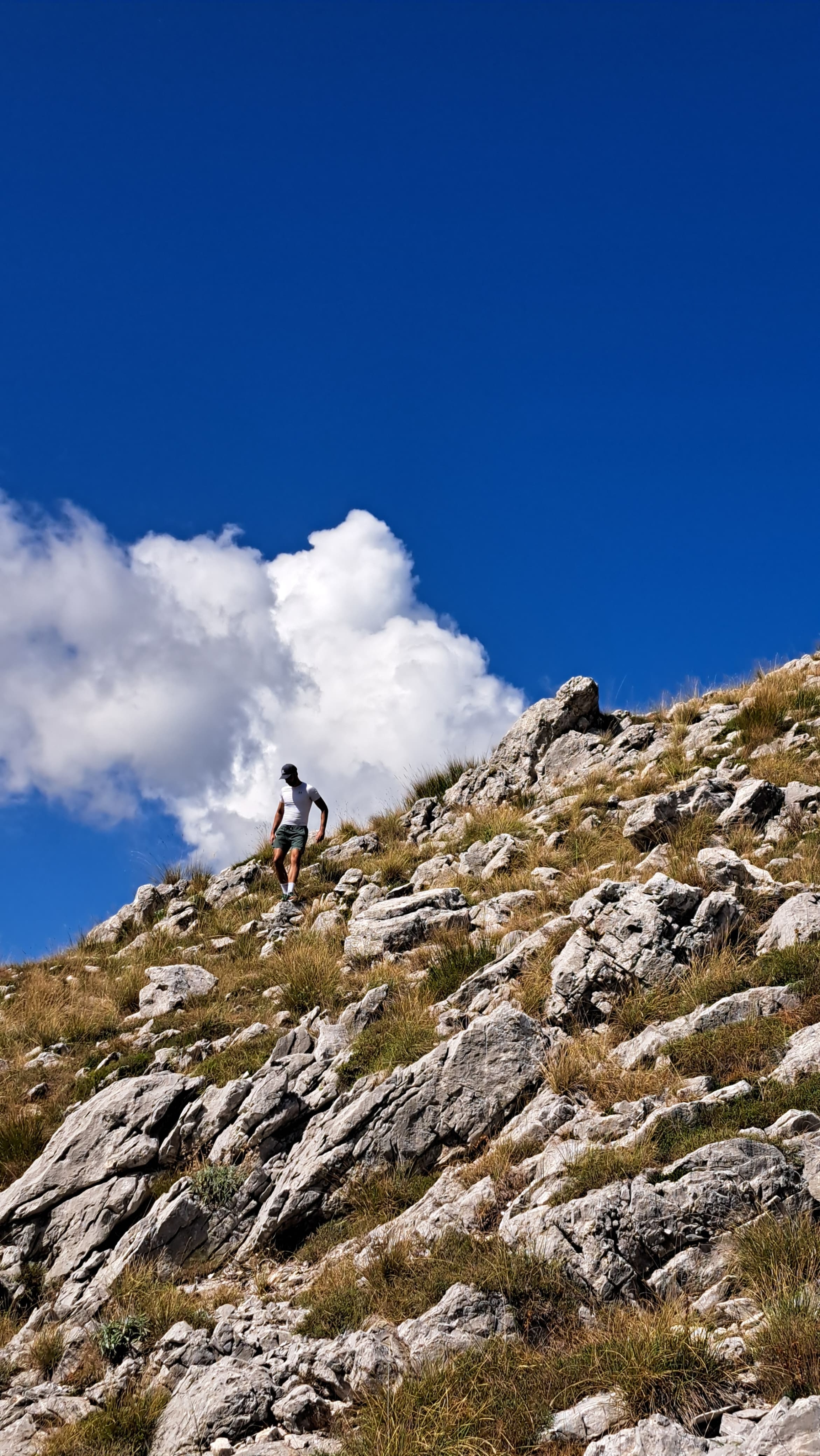 Himalaya Experience
